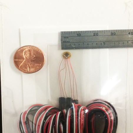 Many Directions, One sensor... The 3 Element Rosette | The Essential ...