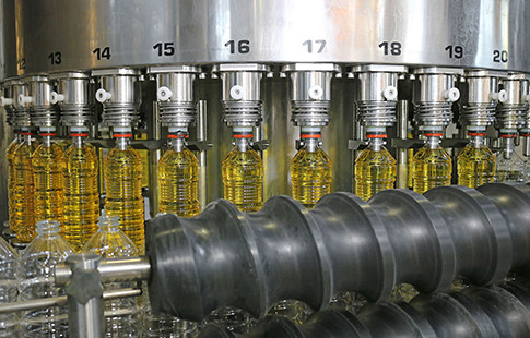 olive oil bottles in processing machine