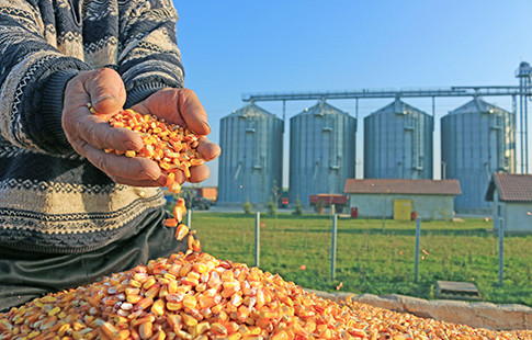 grain in hands - silos in background
